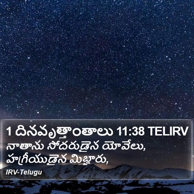 1 దినవృత్తాంతాలు 11:38 TELIRV Bible Verse Image