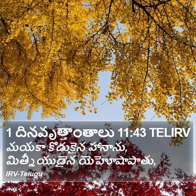 1 దినవృత్తాంతాలు 11:43 TELIRV Bible Verse Image