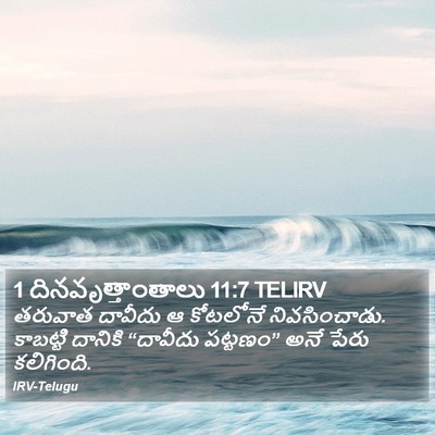 1 దినవృత్తాంతాలు 11:7 TELIRV Bible Verse Image