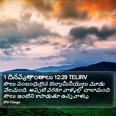 1 దినవృత్తాంతాలు 12:29 TELIRV Bible Verse Image