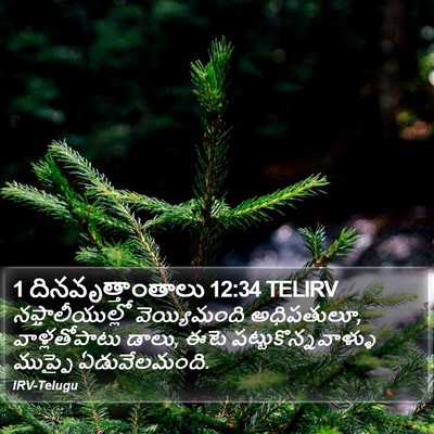 1 దినవృత్తాంతాలు 12:34 TELIRV Bible Verse Image
