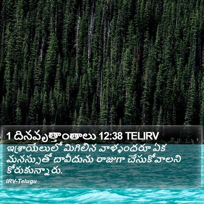 1 దినవృత్తాంతాలు 12:38 TELIRV Bible Verse Image