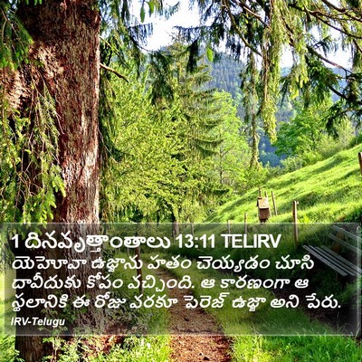 1 దినవృత్తాంతాలు 13:11 TELIRV Bible Verse Image