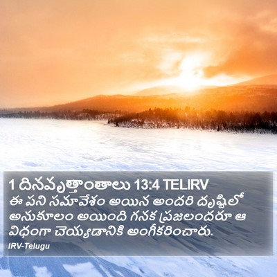 1 దినవృత్తాంతాలు 13:4 TELIRV Bible Verse Image