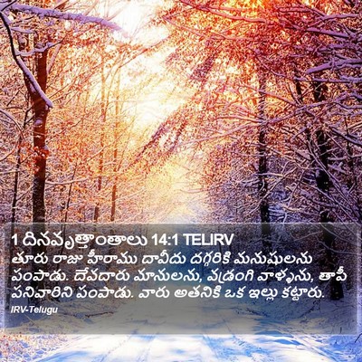 1 దినవృత్తాంతాలు 14:1 TELIRV Bible Verse Image