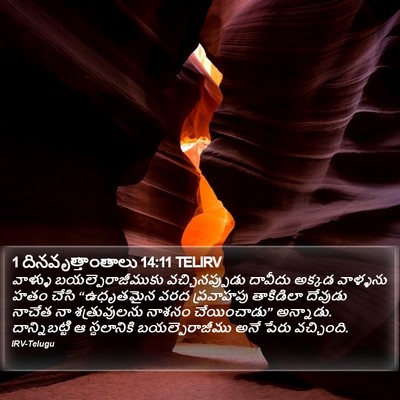1 దినవృత్తాంతాలు 14:11 TELIRV Bible Verse Image