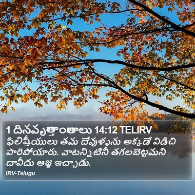 1 దినవృత్తాంతాలు 14:12 TELIRV Bible Verse Image