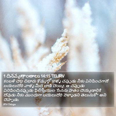 1 దినవృత్తాంతాలు 14:15 TELIRV Bible Verse Image