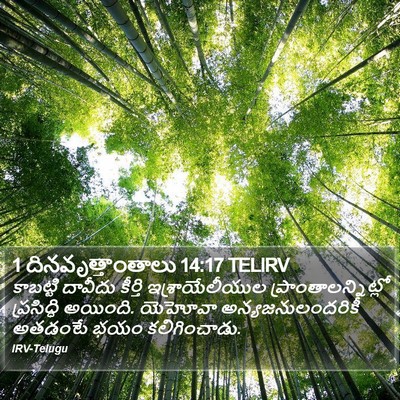 1 దినవృత్తాంతాలు 14:17 TELIRV Bible Verse Image