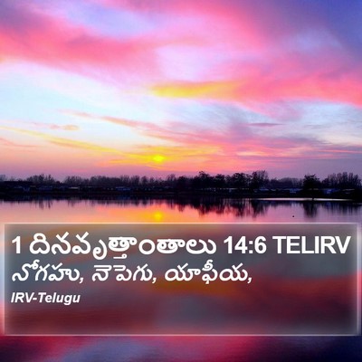 1 దినవృత్తాంతాలు 14:6 TELIRV Bible Verse Image