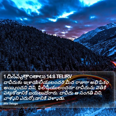 1 దినవృత్తాంతాలు 14:8 TELIRV Bible Verse Image