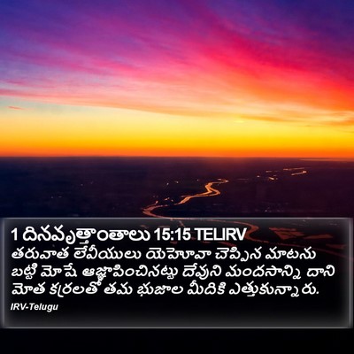 1 దినవృత్తాంతాలు 15:15 TELIRV Bible Verse Image