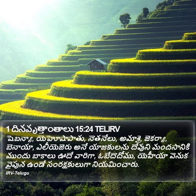 1 దినవృత్తాంతాలు 15:24 TELIRV Bible Verse Image