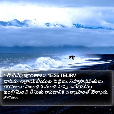 1 దినవృత్తాంతాలు 15:25 TELIRV Bible Verse Image