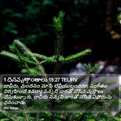 1 దినవృత్తాంతాలు 15:27 TELIRV Bible Verse Image