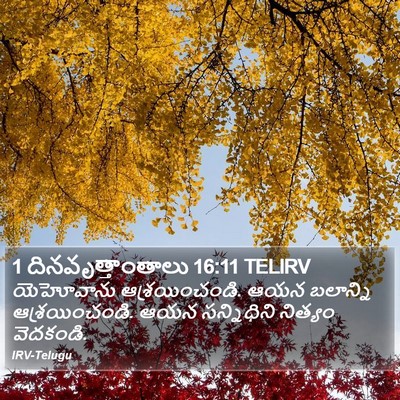 1 దినవృత్తాంతాలు 16:11 TELIRV Bible Verse Image