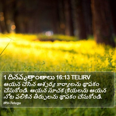 1 దినవృత్తాంతాలు 16:13 TELIRV Bible Verse Image