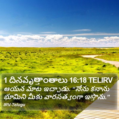 1 దినవృత్తాంతాలు 16:18 TELIRV Bible Verse Image