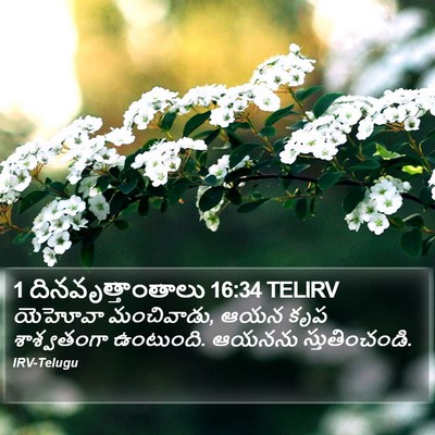 1 దినవృత్తాంతాలు 16:34 TELIRV Bible Verse Image