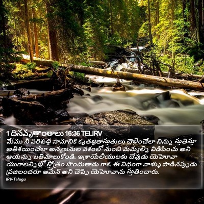 1 దినవృత్తాంతాలు 16:36 TELIRV Bible Verse Image