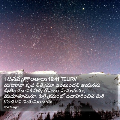 1 దినవృత్తాంతాలు 16:41 TELIRV Bible Verse Image