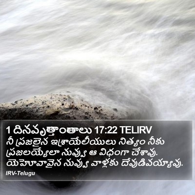 1 దినవృత్తాంతాలు 17:22 TELIRV Bible Verse Image