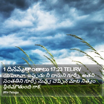 1 దినవృత్తాంతాలు 17:23 TELIRV Bible Verse Image
