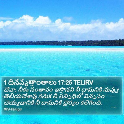 1 దినవృత్తాంతాలు 17:25 TELIRV Bible Verse Image