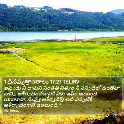 1 దినవృత్తాంతాలు 17:27 TELIRV Bible Verse Image