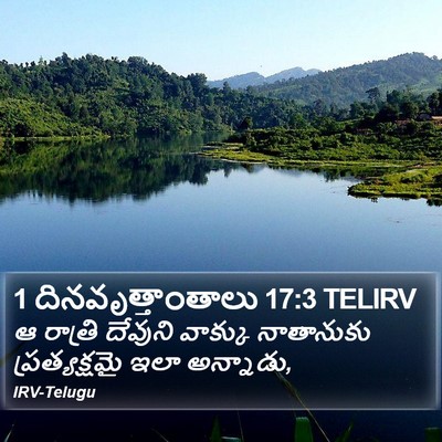 1 దినవృత్తాంతాలు 17:3 TELIRV Bible Verse Image