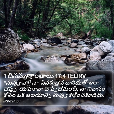 1 దినవృత్తాంతాలు 17:4 TELIRV Bible Verse Image