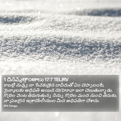1 దినవృత్తాంతాలు 17:7 TELIRV Bible Verse Image