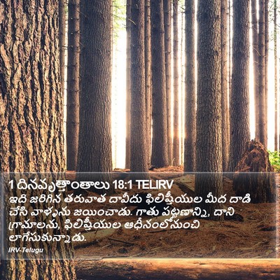 1 దినవృత్తాంతాలు 18:1 TELIRV Bible Verse Image