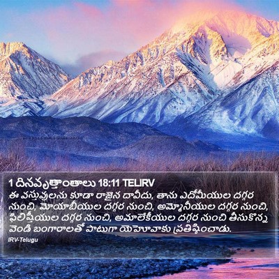 1 దినవృత్తాంతాలు 18:11 TELIRV Bible Verse Image