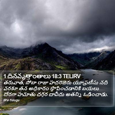 1 దినవృత్తాంతాలు 18:3 TELIRV Bible Verse Image