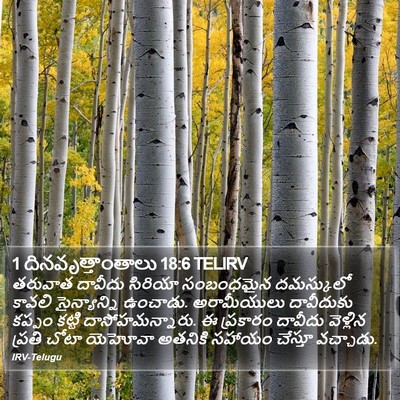 1 దినవృత్తాంతాలు 18:6 TELIRV Bible Verse Image