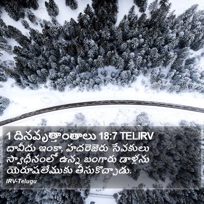 1 దినవృత్తాంతాలు 18:7 TELIRV Bible Verse Image