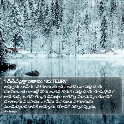 1 దినవృత్తాంతాలు 19:2 TELIRV Bible Verse Image