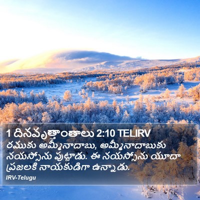 1 దినవృత్తాంతాలు 2:10 TELIRV Bible Verse Image