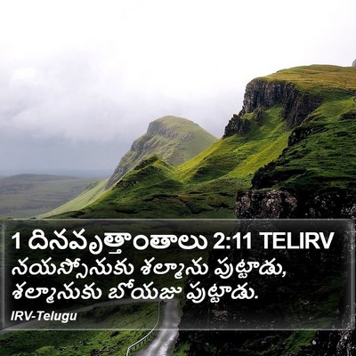 1 దినవృత్తాంతాలు 2:11 TELIRV Bible Verse Image