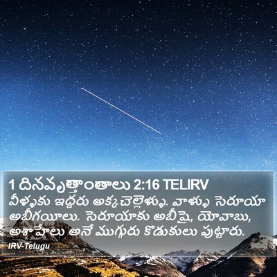 1 దినవృత్తాంతాలు 2:16 TELIRV Bible Verse Image