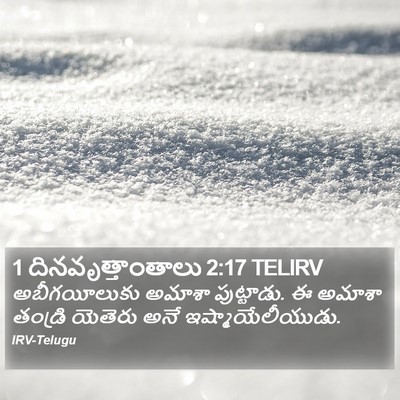 1 దినవృత్తాంతాలు 2:17 TELIRV Bible Verse Image