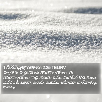 1 దినవృత్తాంతాలు 2:25 TELIRV Bible Verse Image