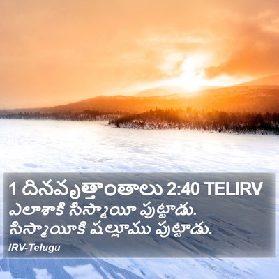 1 దినవృత్తాంతాలు 2:40 TELIRV Bible Verse Image