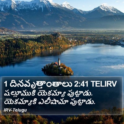 1 దినవృత్తాంతాలు 2:41 TELIRV Bible Verse Image