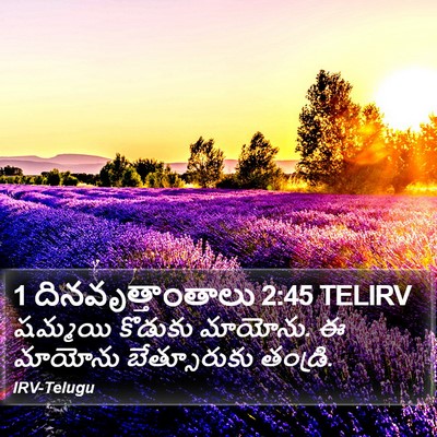 1 దినవృత్తాంతాలు 2:45 TELIRV Bible Verse Image