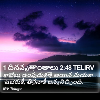 1 దినవృత్తాంతాలు 2:48 TELIRV Bible Verse Image