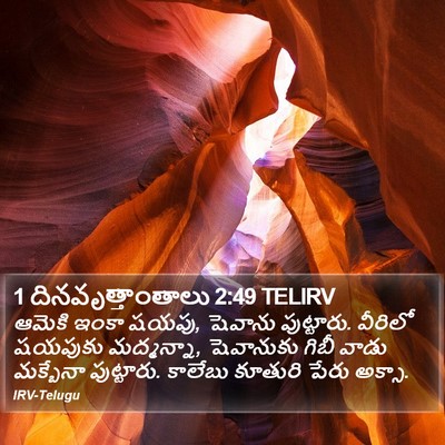 1 దినవృత్తాంతాలు 2:49 TELIRV Bible Verse Image