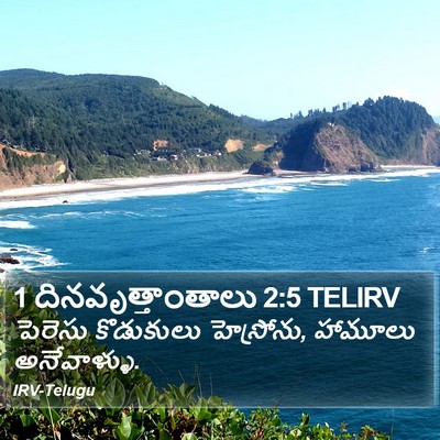 1 దినవృత్తాంతాలు 2:5 TELIRV Bible Verse Image