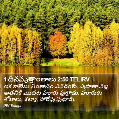 1 దినవృత్తాంతాలు 2:50 TELIRV Bible Verse Image